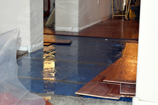 Professional Emergency Water Damage Restoration technician working in Sunderland, MA